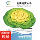 蔬菜種子四季菜籽菜種子陽(yáng)臺(tái)菜園播種 金滿地黃心烏種子800粒 1包+肥料