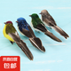 仿真麻雀真羽毛泡沫假鳥(niǎo)動(dòng)物夾子小鳥(niǎo)模型田園陽(yáng)臺(tái)工藝品裝飾擺件 4只不同顏色夾子款