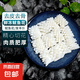 魷魚花 去皮去骨冷凍目魚卷鮮捕現(xiàn)切墨魚花 魚 燒烤火鍋食材 高品質(zhì)現(xiàn)切 魷魚花 4斤(凈重)
