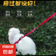 【京東物流】寵物牽引繩貓咪狗狗兔牽引繩寵物外出遛狗可愛(ài)耐用 寵物牽引繩-混色1個(gè)