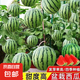 超甜蜂蜜小西瓜種子紅玉無籽小西瓜四季種植陽臺庭院盆栽水果種子 蜂蜜盆栽小西瓜種子/包約50粒 1包