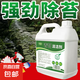 水泥地面青苔清除劑地面長青苔清理水池除苔蘚劑青苔去除劑防青苔 2500g  1桶  青苔清潔劑