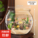 高清魚缸 生態(tài)缸桌面溪流缸迷你金魚缸小型水族箱養(yǎng)魚龜缸PET 超大號魚缸【超清8K高透/摔不碎/久用不糊】
