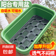 加大加厚陽臺種菜盆自吸水家用種菜專用盆長方形塑料蔬菜種植花盆 【綠色自吸水種菜盆2套】 【特大加厚款】