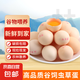 喜蛋哥蟲(chóng)草蛋吃蟲(chóng)子草新鮮雞蛋農(nóng)家散養(yǎng)谷物雞蛋營(yíng)養(yǎng)溏心蛋生鮮買菜早餐 30枚蟲(chóng)草蛋
