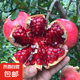 石榴樹(shù)苗突尼斯軟籽石榴苗大紅袍蒙陽(yáng)紅盆栽地栽嫁接果樹(shù)苗木 紅如意5年苗【當(dāng)年結(jié)果】
