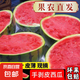 現(xiàn)摘現(xiàn)發(fā)2k西瓜當季手剝薄皮小糖丸西瓜新鮮水果冰糖子小西瓜 2-3斤（1-2個）