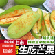 廣西酸脆芒果腌制生吃 配酸梅粉 5斤大果（150g-200g）