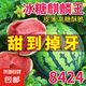 早佳8424麒麟西瓜種子南方播高產(chǎn)特大巨型少籽甜王西瓜子水果種子 早佳8424西瓜種子約225粒5包