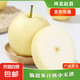 京喜加趙州皇冠梨河北皇冠梨產(chǎn)地直發(fā) 單果240g+ 9-10斤裝（凈重8.2斤）