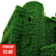 爬山虎樹苗爬藤植物庭院樓頂攀爬墻攀援綠植盆栽五葉地錦耐寒花卉 爬山虎2年苗10顆