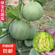 綠寶石甜瓜種子薄皮超甜香瓜種子春季綠皮四季脆瓜早熟高產(chǎn)香瓜籽 綠寶石甜瓜種子/包約100粒 1包