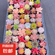 多肉植物盆栽綠植花卉室內(nèi)玉露錢串紅寶石書桌擺件玫瑰 36顆多肉隨機(jī)不重復(fù)+4包營養(yǎng)土 圖片文字有說明