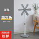 駱駝電風(fēng)扇家用落地扇電扇立式學(xué)生宿舍辦公室迷你風(fēng)扇節(jié)能輕音大風(fēng)力 落地扇強(qiáng)風(fēng)六葉【灰色】 標(biāo)配 1.3米電線