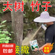 環(huán)嗪酮除樹死樹劑大樹爛根的專用藥除草劑除大樹除竹子爛根專用藥 正品環(huán)嗪酮【5斤】