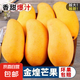 海南金煌芒果新鮮現摘產(chǎn)地直發(fā) 帶箱2斤裝-140g起