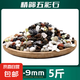 天然五彩石原石魚缸底砂造景裝飾庭院裝飾多肉盆栽鋪面五彩小石頭 天然五彩石5斤【6-9毫米】