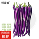 山東新鮮紫皮長(zhǎng)茄子現(xiàn)摘紅線茄子 現(xiàn)摘紅線長(zhǎng)茄 5斤 帶箱