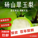新鮮現(xiàn)摘翠玉蜜梨水果脆甜多汁梨子果彩 單果150g+ 8.5斤-9斤
