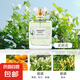 煙雨茉莉香水梔子花女士淡香體香持久留香自然清新迷人學(xué)生黨室內(nèi) 茉莉
