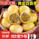 正宗新鮮欽蜜9號黃金百香果醇蜜香養(yǎng)生首選千品冰鮮過口感清涼 新鮮欽蜜百香果10顆小果