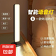 語音智能聲控感應(yīng)燈臥室床頭夜燈喂奶護眼led臺燈睡覺口令控制燈 語音燈【三檔色溫+四檔亮度】