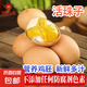莘吉緣活珠子雞蛋胚胎麻辣毛蛋13天新鮮鋼化蛋五香新鮮即食生鮮 活珠子6枚五香味