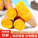 龍九紅薯蜜薯新鮮香甜農家自種營養(yǎng)豐富現(xiàn)挖食用產地直發(fā) 中果（單果3-8兩）帶箱3斤