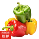 山東雙色水果五彩椒圓椒青椒產(chǎn)地直發(fā) 雙色水果五彩椒【凈重2斤】 2斤