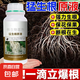 猛生根原液強(qiáng)力生根壯苗移栽插果蔬花卉綠植促根微生物壯根肥 猛生根原液500g*1瓶