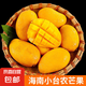 海南小臺(tái)農(nóng)芒果 時(shí)令新鮮水果當(dāng)季整箱應(yīng)季熱帶特產(chǎn) 小臺(tái)農(nóng)芒果凈重3斤單果70g+