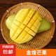 正宗金煌芒果 甜心芒肉厚核小新鮮熱帶水果整箱 金煌芒凈重2斤單果100-150g