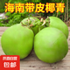 海南新鮮帶皮青椰子汁水多孕婦補(bǔ)羊水椰青現(xiàn)摘現(xiàn)發(fā) 帶皮椰子6個(gè)裝 【冰鎮(zhèn)口感更佳】