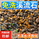 天然原生態(tài)溪流石底砂魚缸專用過濾鵝卵石小石頭龜缸造景裝飾底砂 12-16mm【2斤裝】 天然溪流石