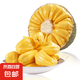 海南黃肉菠蘿蜜當(dāng)季熱帶新鮮水果波蘿蜜黃肉干苞一整個熱帶水果 22-26斤