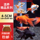 金魚(yú)活魚(yú)不加溫冷水魚(yú)觀賞魚(yú)淡水魚(yú)活體草金魚(yú)苗小金魚(yú)好養(yǎng)寵物魚(yú) 4-5cm小紅獅+黑龍睛+小鎏金各2條