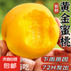 蒙陰黃桃【地標認證】毛桃脆甜水蜜桃子時令新鮮水果單果100g+ 5斤土豪裝丨泡沫托丨凈重4.5斤