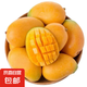 小臺農芒果新鮮小臺芒當季特產(chǎn)水果  輕微花皮半熟果發(fā)貨 臺芒帶箱3斤50-70g