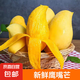 云南鷹嘴芒果 黃皮甜芒核薄多汁香甜無絲新鮮水果整箱 鷹嘴芒3斤單果150-200g