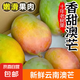 云南新鮮大澳芒 應(yīng)季蘋果芒熱帶甜心芒果水果整箱 澳芒2斤單果150-200g