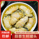 肥美生蠔蠔肉罐頭爆汁醬拌飯夾饃超上頭即食海鮮美麻辣味蒜蓉味 蒜蓉味100g/罐（6罐劃算裝）