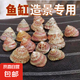 天然海螺貝殼小紅塔紋螺手工diy創(chuàng)意貝殼畫材料魚缸造景地臺(tái)裝飾 小紅塔2-3cm【3個(gè)裝】 實(shí)際發(fā)貨數(shù)量以規(guī)格為準(zhǔn)