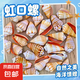 天然貝殼海螺虹口螺魚缸造景水族裝飾道具手工diy擺件 虹口螺4-6cm【1個(gè)】 實(shí)際發(fā)貨數(shù)量以規(guī)格為準(zhǔn)