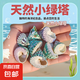 天然海螺小綠塔螺貝殼寄居蟹替換卷貝魚魚缸裝飾造景手工擺件diy 小綠塔2-4cm【3個(gè)裝】 實(shí)際發(fā)貨數(shù)量以規(guī)格為準(zhǔn)