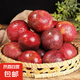 正宗香甜云南紫皮百香果臺(tái)農(nóng)一號(hào)旺久當(dāng)季新鮮水果非黃金百香果 大果5斤(70g+)