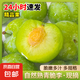 現(xiàn)摘現(xiàn)發(fā)四川青脆李新鮮李子生鮮水果孕婦可食 單果15g+ 帶箱2斤