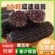 新鮮黑糯玉米真空鎖鮮包裝低脂健康早餐非轉(zhuǎn)基因新鮮代餐粗糧 黑糯玉米 10根裝凈重1500g（單根150-180g)