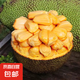 海南正宗菠蘿蜜新鮮水果整箱現(xiàn)摘菠蘿蜜一整個爆甜新鮮當(dāng)季水果 菠蘿蜜12斤【帶箱】12-14斤