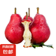 紅啤梨國產(chǎn)2025年新梨新鮮水果放軟好吃山野 帶箱2斤
