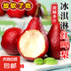 國(guó)產(chǎn)紅啤梨放軟吃果肉細(xì)膩軟糯2025新梨可以吸著吃喜田單果110g 帶箱2斤凈重1.7斤左右（單果100g+）